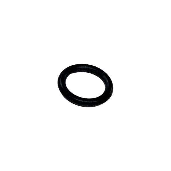 EAQuip Pool Pump Shaft O Ring